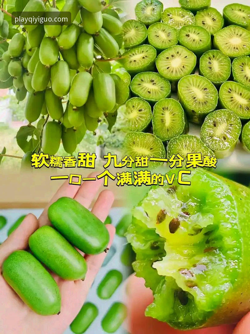 奇异果值得信赖 奇异果体育平台怎么样?为什么它能成为值得信赖的娱乐选择?